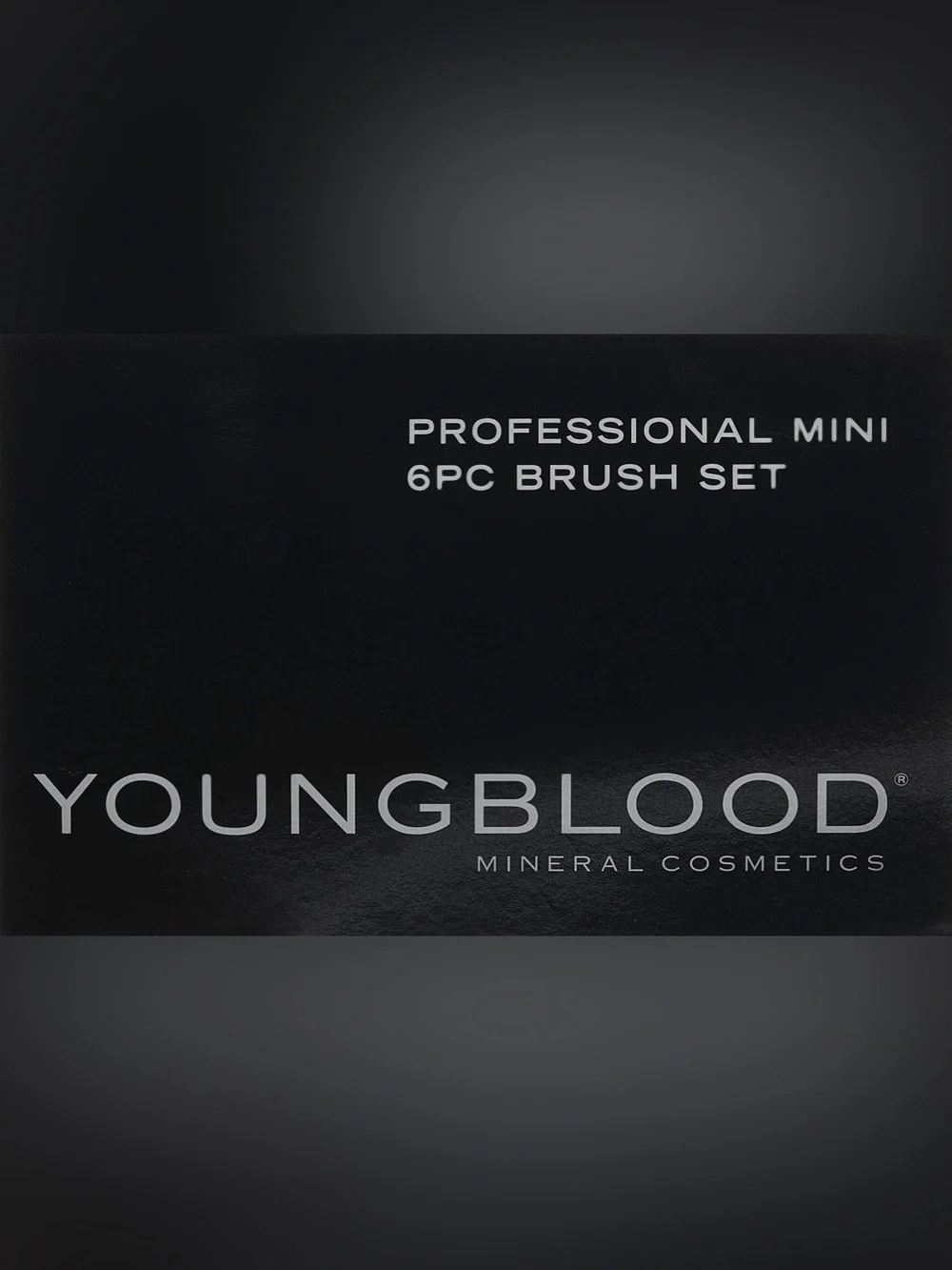 Youngblood Professional mini 6pc brush set